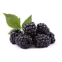 Blackberries (possible shorts)