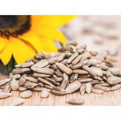 Organic Sunflower Seeds  *GF